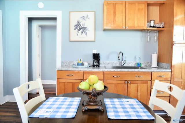 kitchen featuring sink and dark wood-type flooring