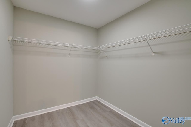 spacious closet featuring hardwood / wood-style flooring