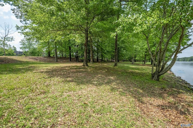 LOTM-3 Copper Leaf Walk, Gadsden AL, 35901 land for sale