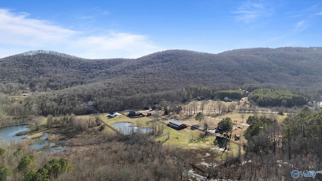 property view of mountains with a water view and a wooded view