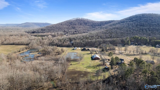 birds eye view of property with a mountain view and a view of trees