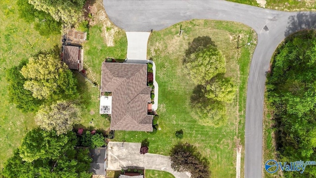 bird's eye view