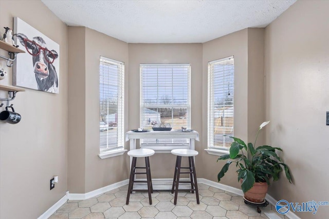 dining room with a textured ceiling, baseboards, and a wealth of natural light