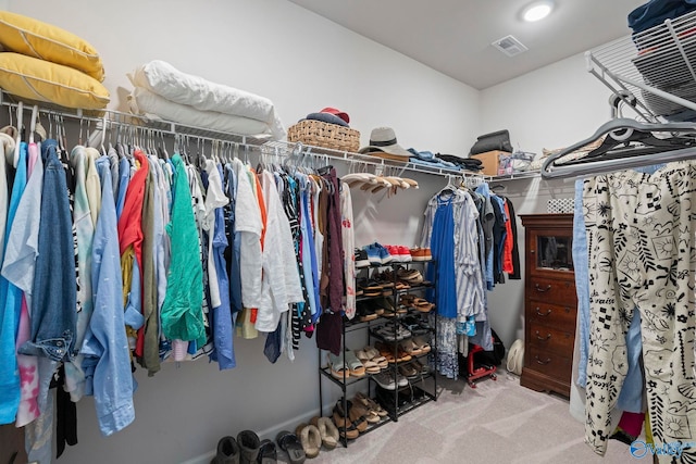 302 Shangrila Way, Meridianville, AL 35759 - spacious closet with carpet floors