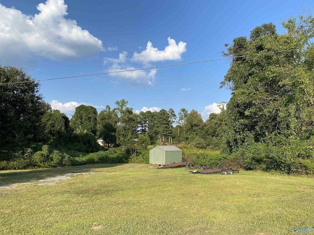 view of yard featuring a storage shed and an outbuilding