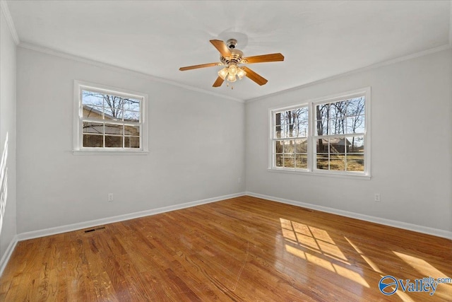 spare room with baseboards, a wealth of natural light, and crown molding