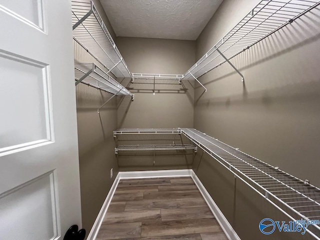 100 James Bowie Dr, Athens, AL 35611 - spacious closet with wood finished floors