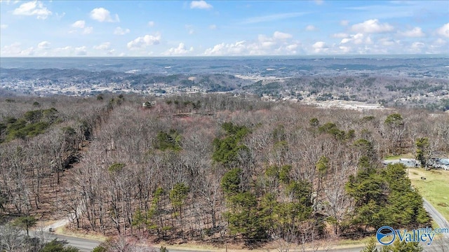 3180 Citadel Rock Rd, Fort Payne AL, 35967 land for sale