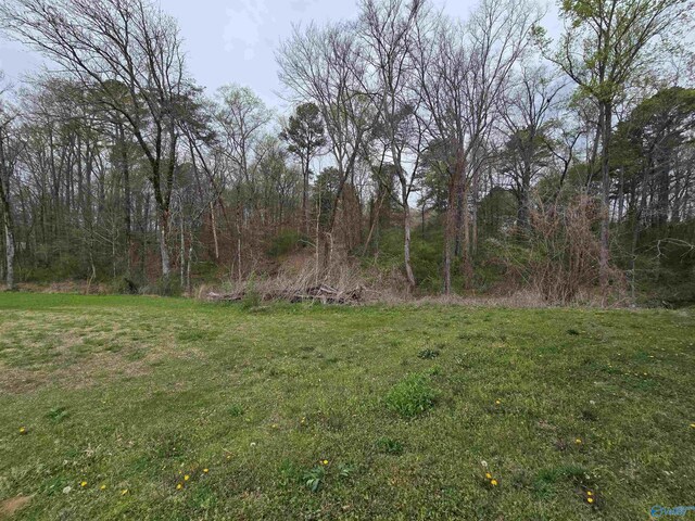 10 E Lacon Rd, Falkville, AL 35622