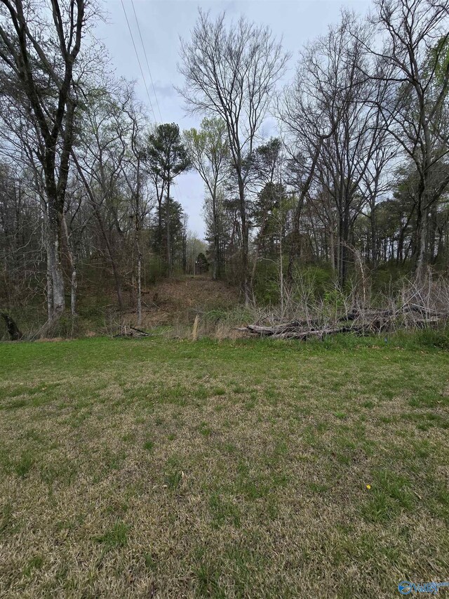 10 E Lacon Rd, Falkville, AL 35622
