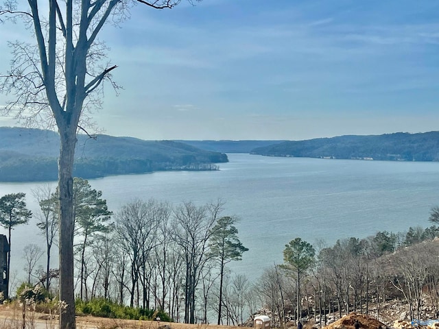 63 Fall Creek Dr, Guntersville AL, 35976 land for sale