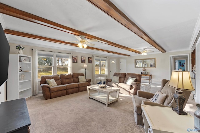 living room with light colored carpet, ceiling fan, beamed ceiling, and ornamental molding
