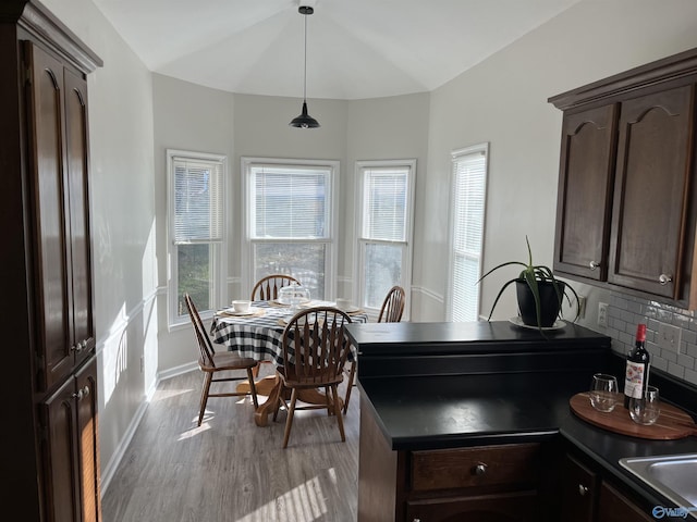 kitchen featuring tasteful backsplash, dark brown cabinets, pendant lighting, and light hardwood / wood-style floors