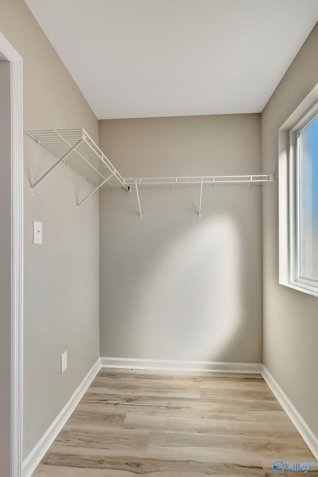 spacious closet featuring light wood-style floors