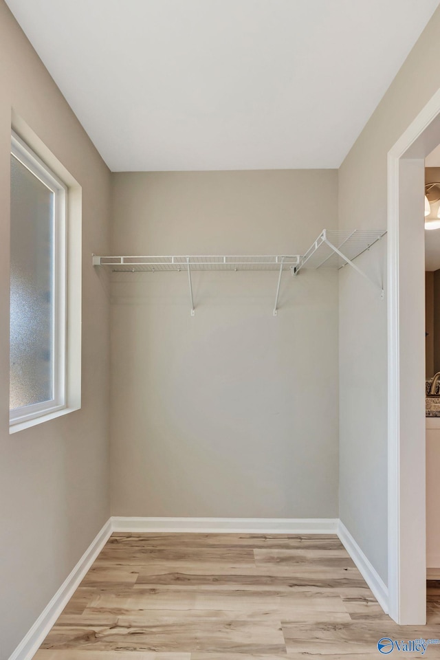 walk in closet featuring light wood finished floors