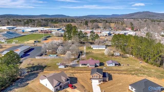 drone / aerial view featuring a mountain view