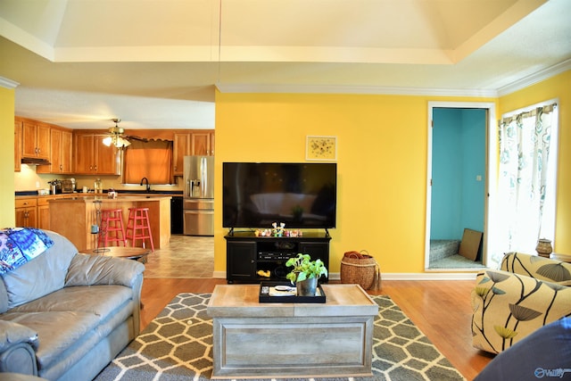 living room with light hardwood / wood-style floors, sink, a tray ceiling, and a healthy amount of sunlight