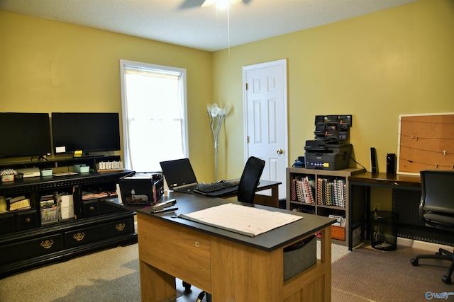 carpeted office featuring ceiling fan