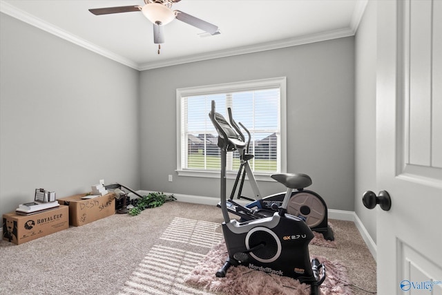 exercise room featuring ornamental molding, carpet, and ceiling fan