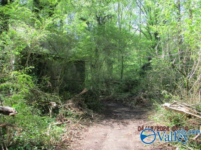 80 Honeycomb Rd, Grant, AL 35747