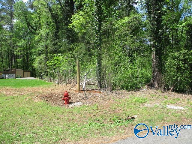 80 Honeycomb Rd, Grant, AL 35747