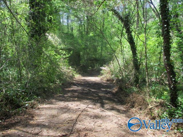 80 Honeycomb Rd, Grant, AL 35747
