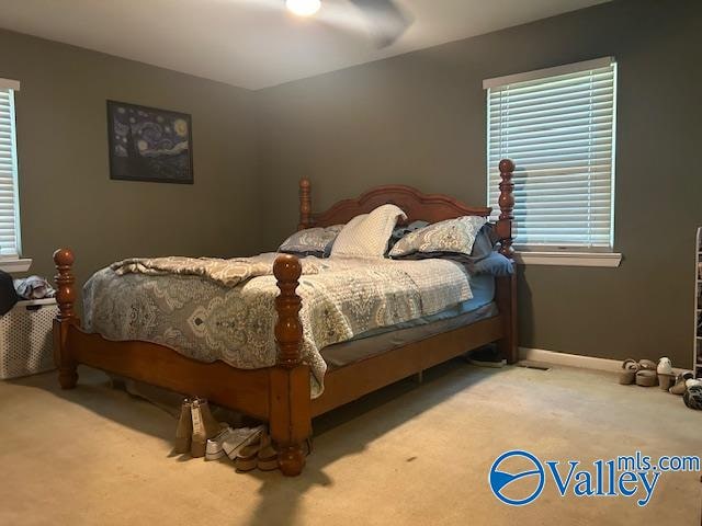 view of carpeted bedroom