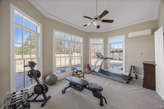 5000 Wainwright Ave, Huntsville, AL 35802 - workout room with a wall mounted air conditioner, a ceiling fan, and a wealth of natural light