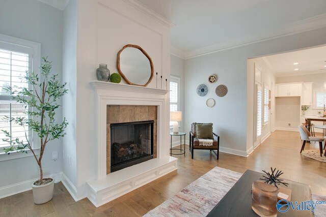 living room featuring crown molding, a fireplace, and plenty of natural light