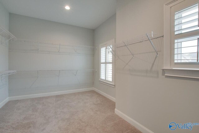 walk in closet featuring light carpet