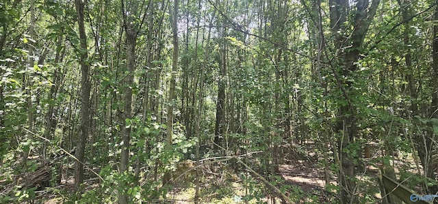 517 3rd St SW, Sylvania, AL 35988