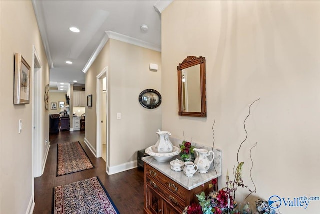 hallway featuring ornamental molding and dark wood-type flooring