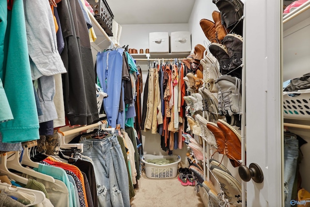 walk in closet with carpet flooring