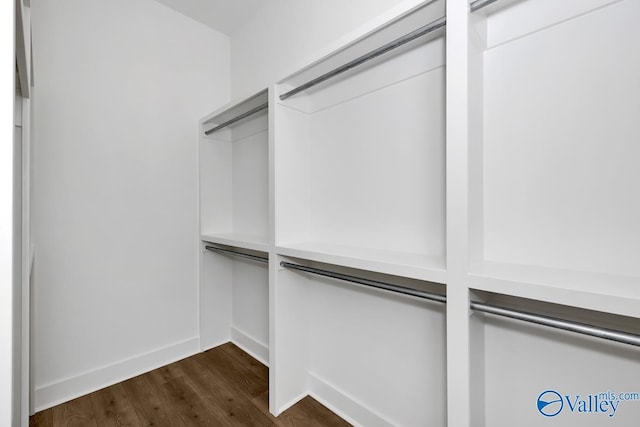 111 Mayapple Trl, Madison, AL 35756 - spacious closet with dark wood-style flooring