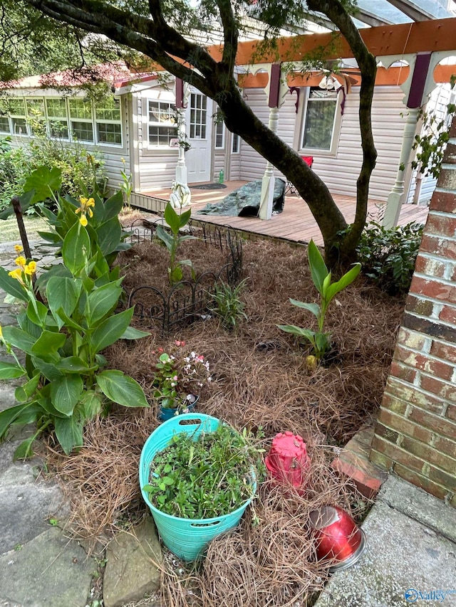 view of yard featuring a pergola