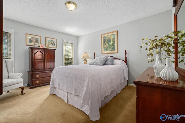 12501 S Shawdee Rd SE, Huntsville, AL 35803 - bedroom with light colored carpet, a textured ceiling, and baseboards