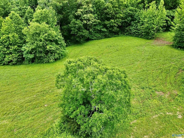 8.5ACRES Compton St, Elkmont, AL 35620