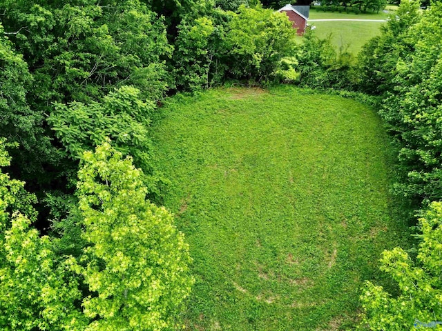 8.5ACRES Compton St, Elkmont, AL 35620