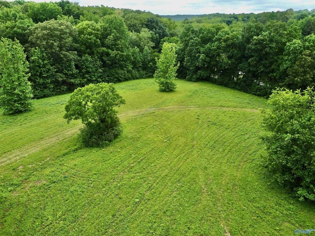 8.5ACRES Compton St, Elkmont, AL 35620