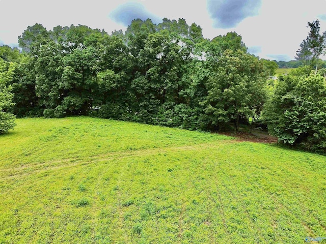 8.5ACRES Compton St, Elkmont, AL 35620
