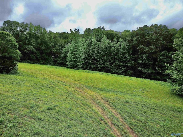 8.5ACRES Compton St, Elkmont, AL 35620