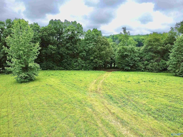8.5ACRES Compton St, Elkmont, AL 35620
