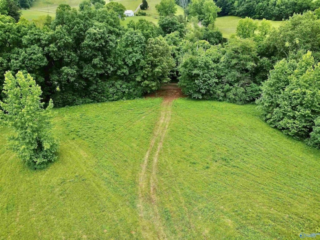 8.5ACRES Compton St, Elkmont, AL 35620