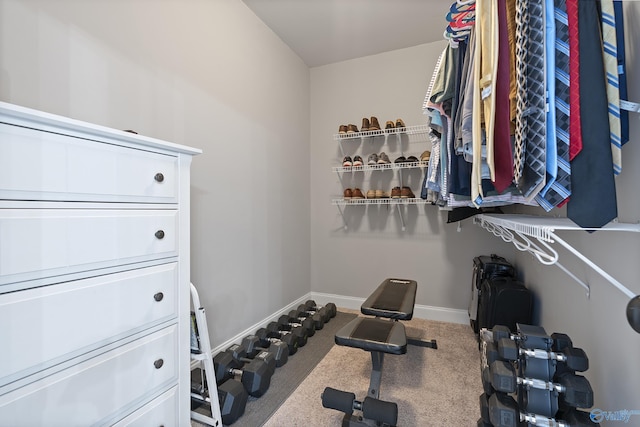 workout area featuring carpet flooring