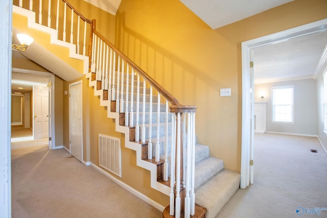 stairway featuring carpet floors