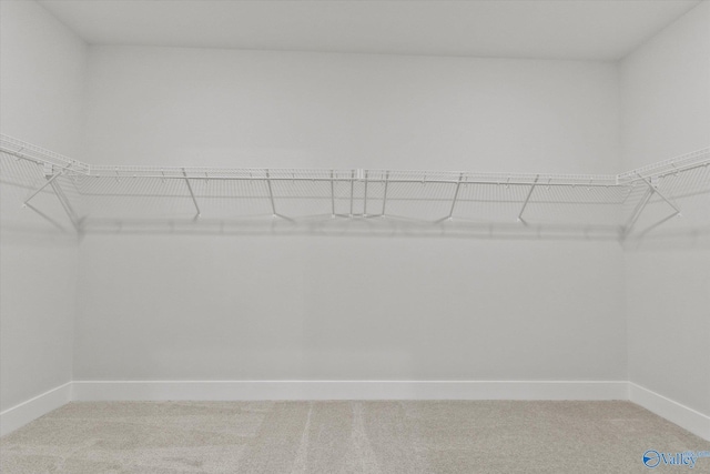 spacious closet with carpet flooring