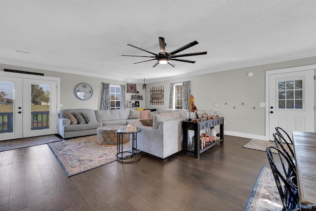 living room with crown molding, french doors, dark wood-type flooring, and a textured ceiling