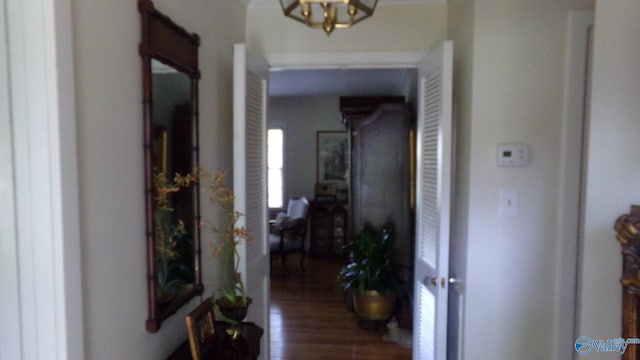 hall featuring wood finished floors and a notable chandelier