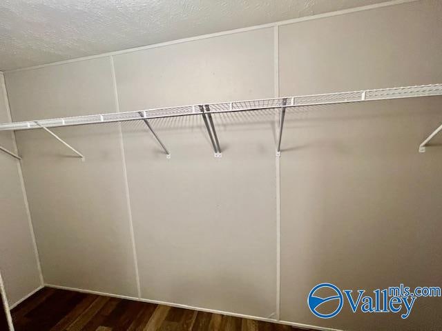 walk in closet featuring hardwood / wood-style flooring