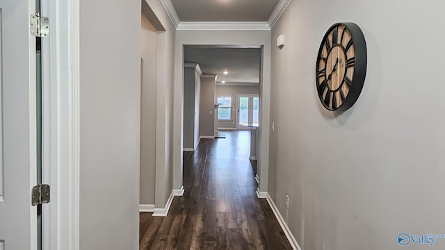 corridor featuring dark hardwood / wood-style floors and crown molding